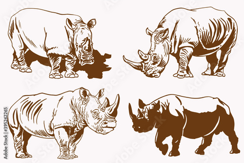 Fototapeta Naklejka Na Ścianę i Meble -  Vintage set of rhinoceroses , sepia background, vector