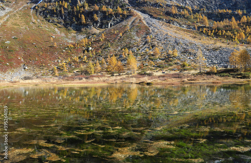 Detail of autumn lake reflection photo