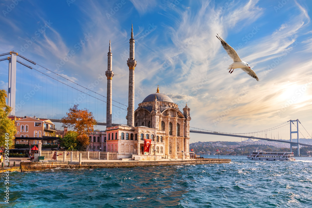 Obraz premium Seagull flies by Ortakoy Mosque, beautiful view from the pier, Istanbul