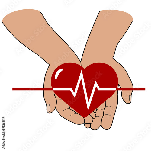 human hands hold in open palms a red heart with a pulse line symbol vector on a white background isolated