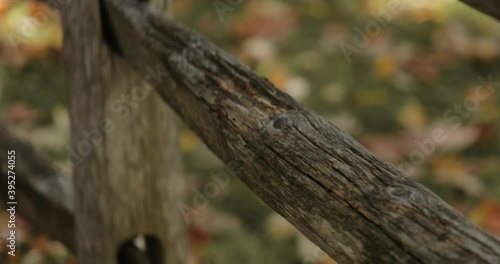 Wallpaper Mural Close up of a patinaed wooden fence during a sunny fall day with leaves on the ground in Gatineau, Quebec. Torontodigital.ca