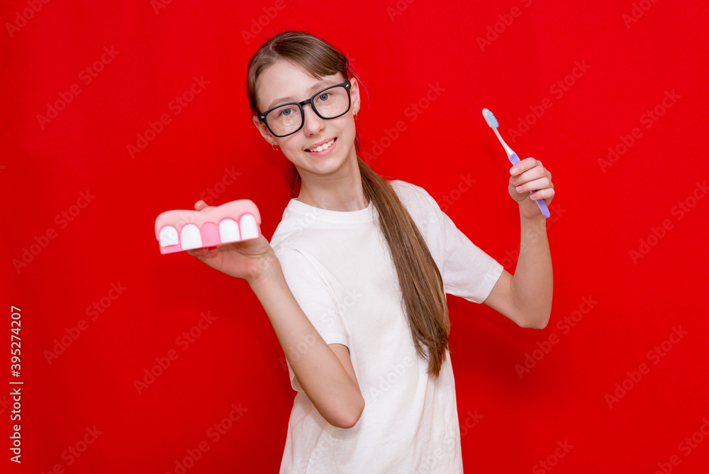 Teenager girl demonstrating brushing teeth holding plastic dental models on red studio. Teenager girl demonstrating brushing teeth holding plastic dental models on red studio.