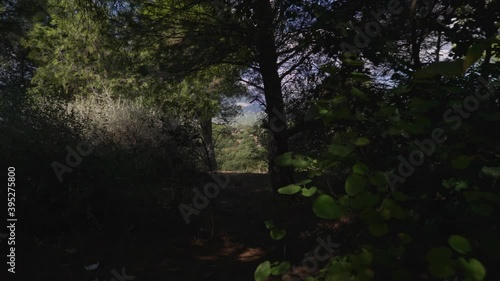 POV walking through the woods, revealing Parnitha mountain, located at Athens, Greece 4K photo