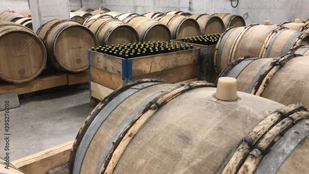 Pan up reveal a modern concrete cellar in a French winery Pan up reveal a modern concrete cellar in a French winery