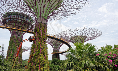  The "OCBC Skyway" trail passes at a height between two super-trees. On the trail are tourists
