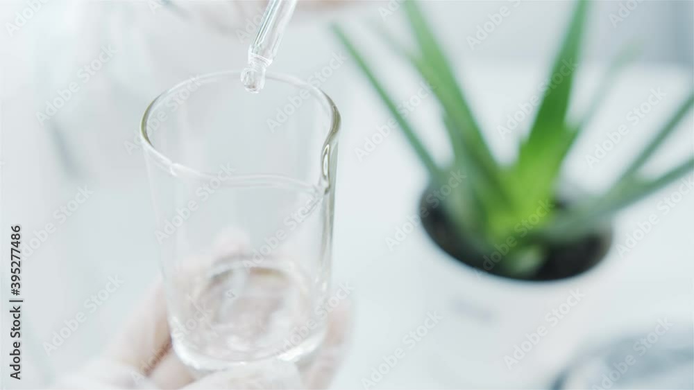 Getting an extract from leaves of aloe vera in laboratory.
Laboratory assistant drops the extract from pipette into glass beaker. Aloe plant in background in laboratory. Anti-aging serum. Getting an extract from leaves of aloe vera in laboratory.
Laboratory assistant drops the extract from pipette into glass beaker. Aloe plant in background in laboratory. Anti-aging serum.