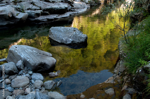 Water Reflexion. Sessera River, Italy photo