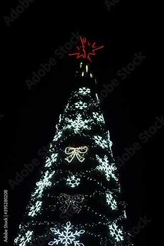 New Year tree at night on a black background. Christmas days