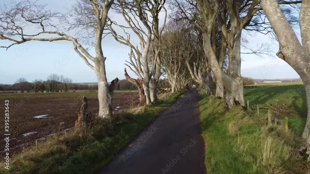 Level Zooming Shot from The Dark Hedges, Northern Ireland Level Zooming Shot from The Dark Hedges, Northern Ireland
