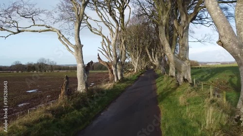 Level Zooming Shot from The Dark Hedges, Northern Ireland photo