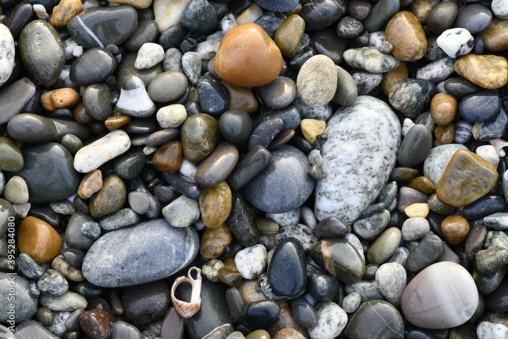 Background from natural gray and colored wet pebbles close-up in natural environment Background from natural gray and colored wet pebbles close-up in natural environment