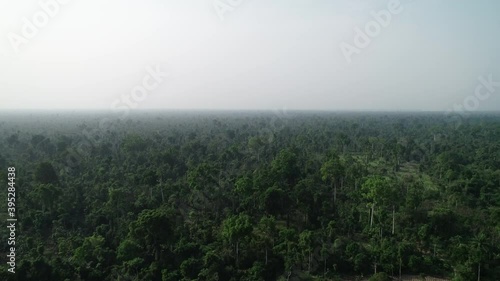 Deep in African Jungle.

Neverending jungle, Nigeria.