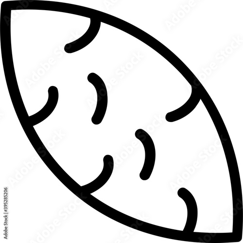 
Bitter Gourd Flat Vector Icon
