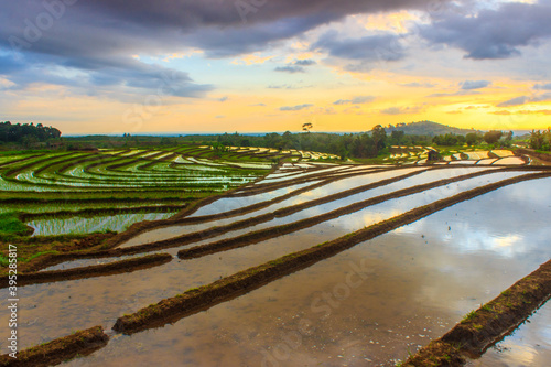 views of rice terraces in the afternoon with sunset rays and the reflection of the sun on the water in asia