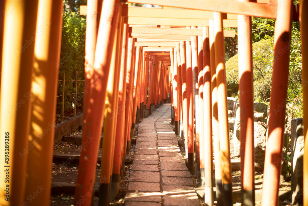 Senbon Torii of Nezu Shrine in Tokyo, Japan