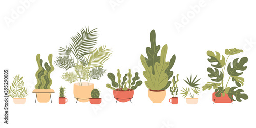 Trending home plants for Scandinavian decor. Vector flat illustration in boho style.