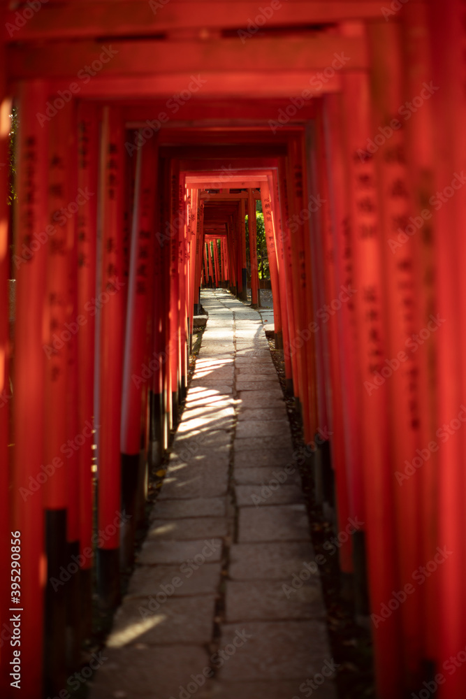 Senbon Torii of Nezu Shrine in Tokyo, Japan