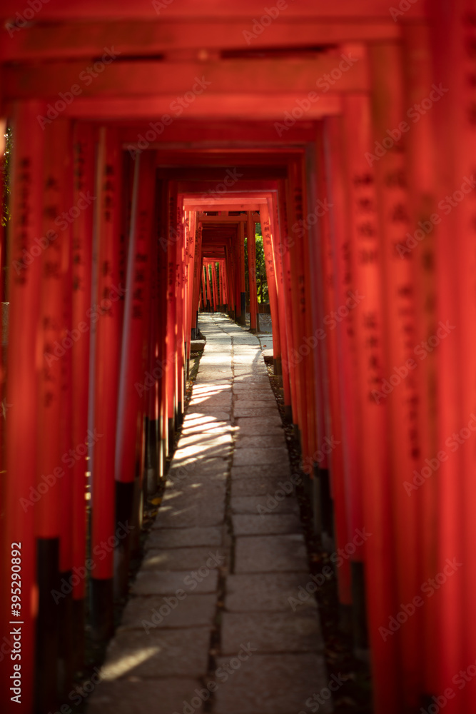 Fototapeta premium Senbon Torii of Nezu Shrine in Tokyo, Japan