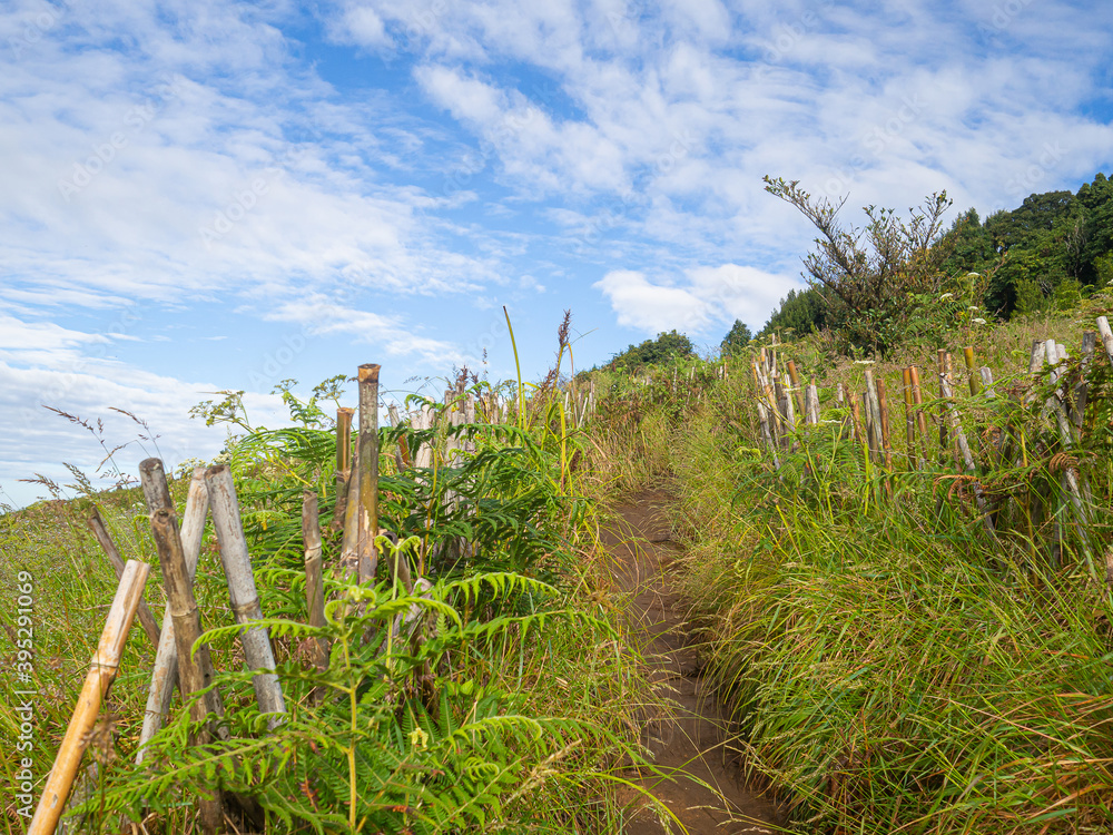 Fototapeta premium Beautiful scenic view of mountains and clouds against the sky in Kew Mae Pan nature trail at Doi Inthanon, Chiang Mai, Thailand. Famous tourist attractions of Thailand. Concept of holiday and travel