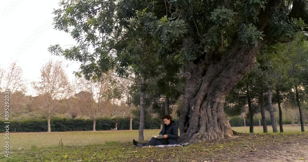 mujer leyendo bajo un árbol milenario y bosque otoñal mujer leyendo bajo un árbol milenario y bosque otoñal