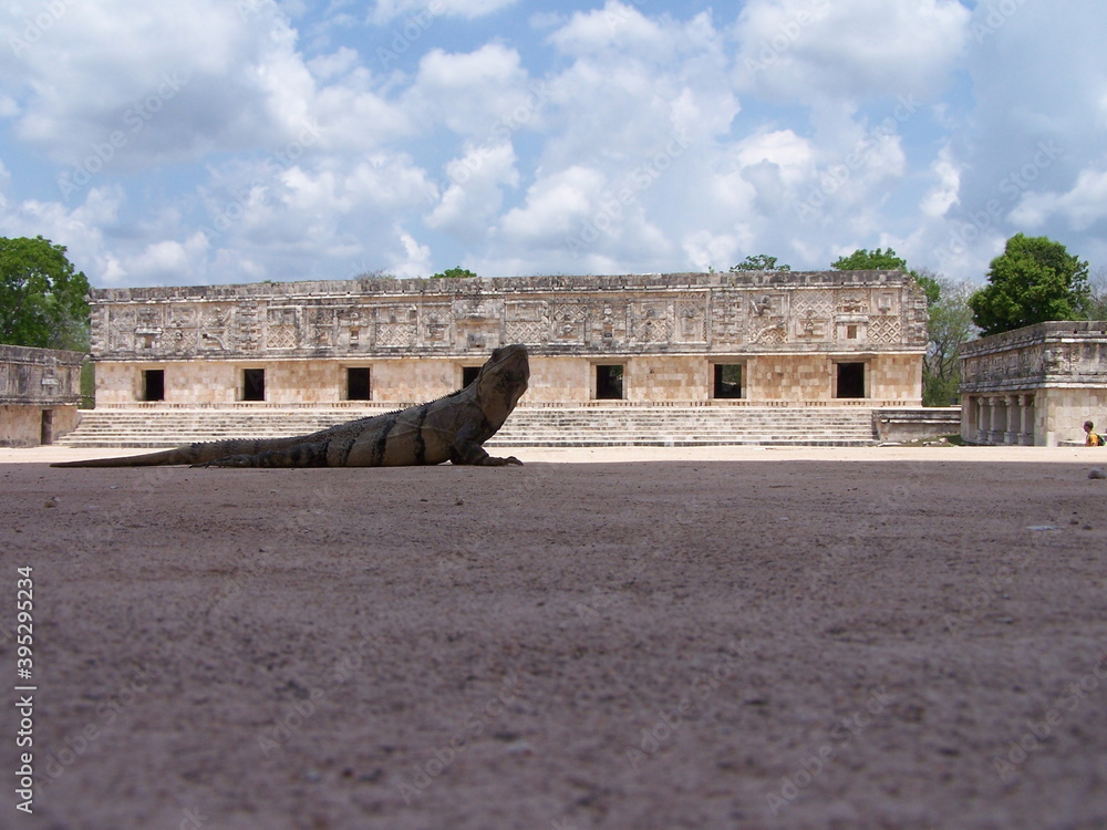 Lizard for Maya temple