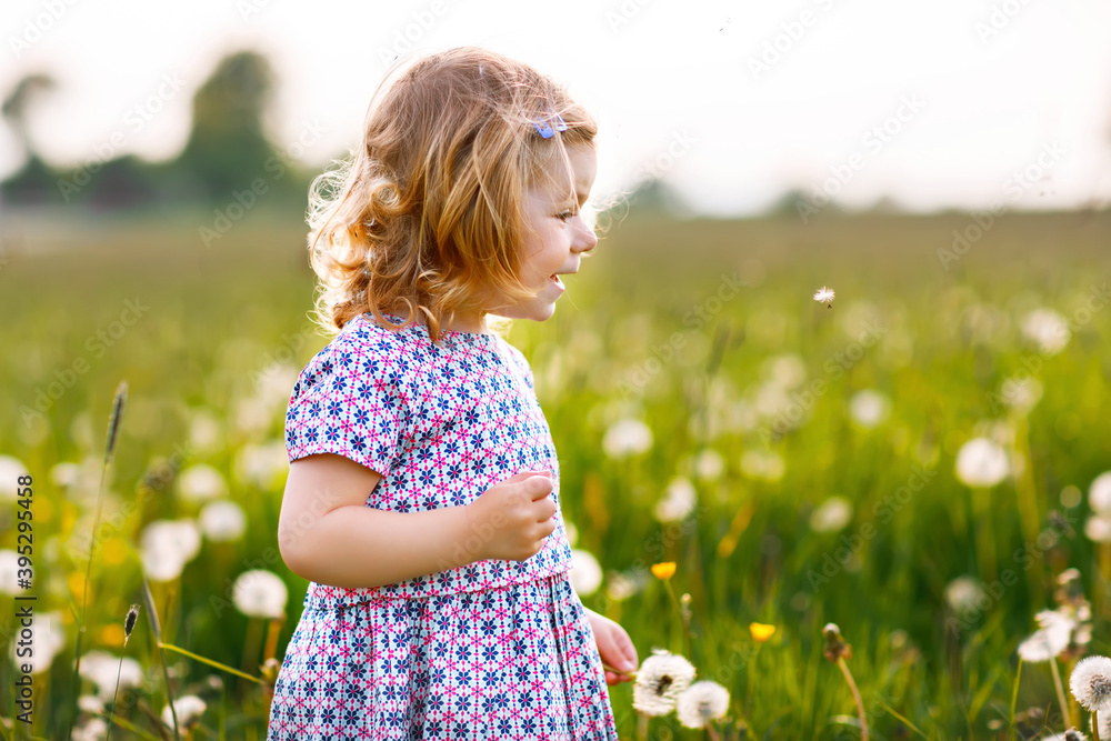 Adorable cute little baby girl blowing on a dandelion flower on the nature in the summer. Happy healthy beautiful toddler child with blowball, having fun. Bright sunset light, active kid. Adorable cute little baby girl blowing on a dandelion flower on the nature in the summer. Happy healthy beautiful toddler child with blowball, having fun. Bright sunset light, active kid.