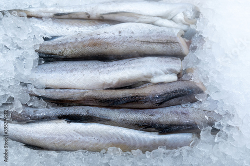 Photography fresh Pollock fish on ice. sale of fresh fish