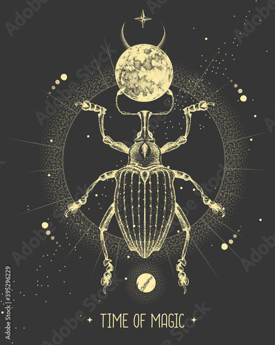 Modern magic witchcraft card with moon and Curculionidae beetle. Hand drawing occult vector illustration