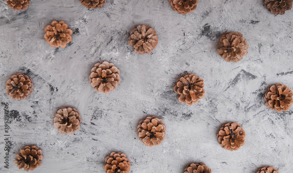 Texture of pine cones on stone background. Texture of pine cones on stone background.