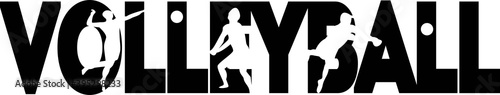 Volleyball isolated on the white background. Vector illustration