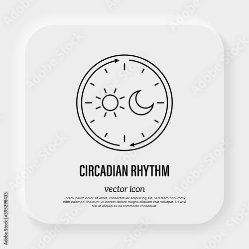 Circadian rhythm thin line icon. Sleep regulation by hormones. Vector illustration.