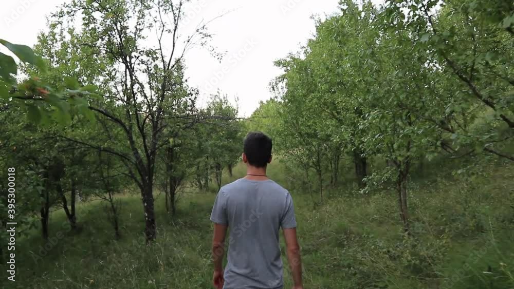 Back view of a young man walking on a summer forest Back view of a young man walking on a summer forest
