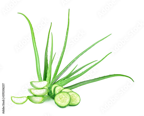 Aloe vera plant and Cucumber  isolated on white background