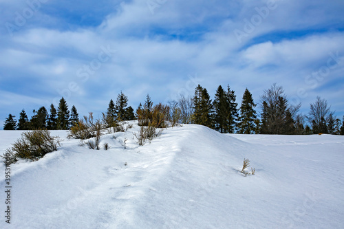 winter mountain glade at sunny day