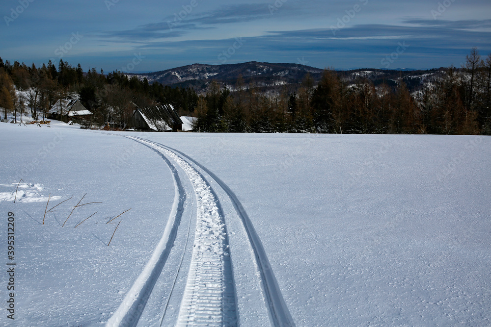 snowmobile tracks in snow
