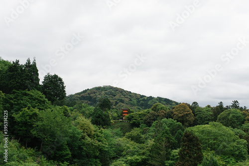 red ancient traditional japanese building hut structure hidden in foliage greenary tall grass, and trees. During summer, but cloudy skies, in kyoto japan