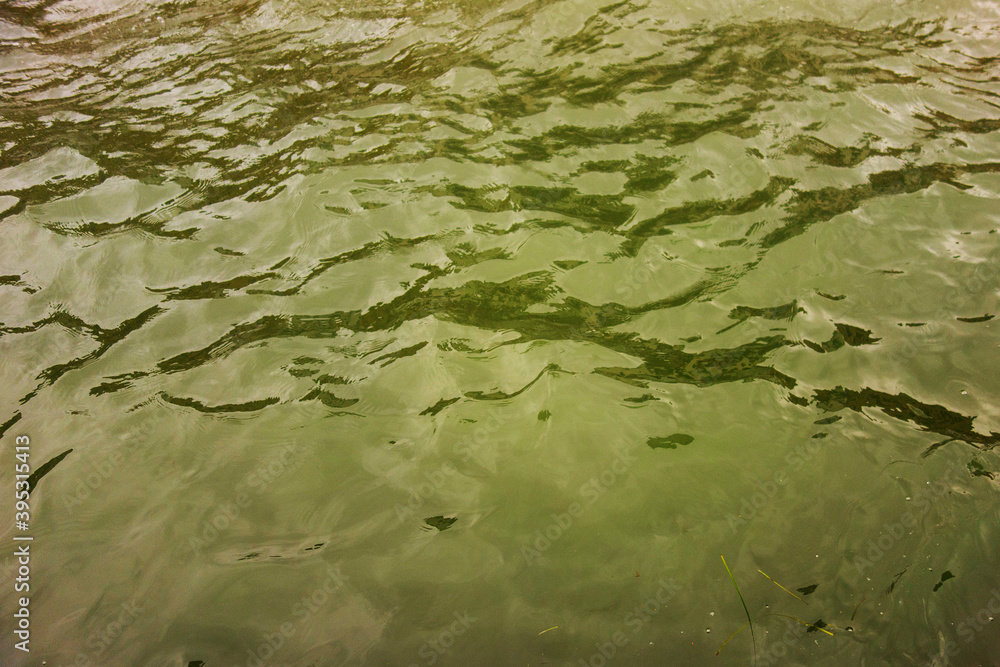 Abstract colorful background from ripples on water surface
Abstract colorful background from ripples on water surface