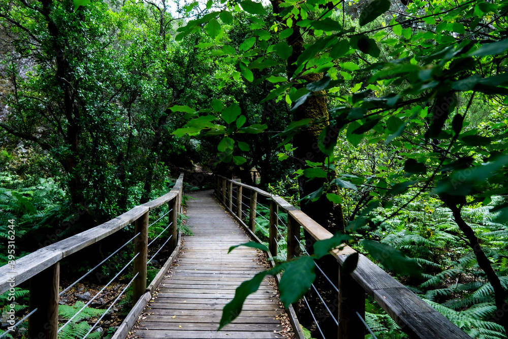 Fototapeta premium Pasarela de el río Batuecas en la sierra de Salamanca