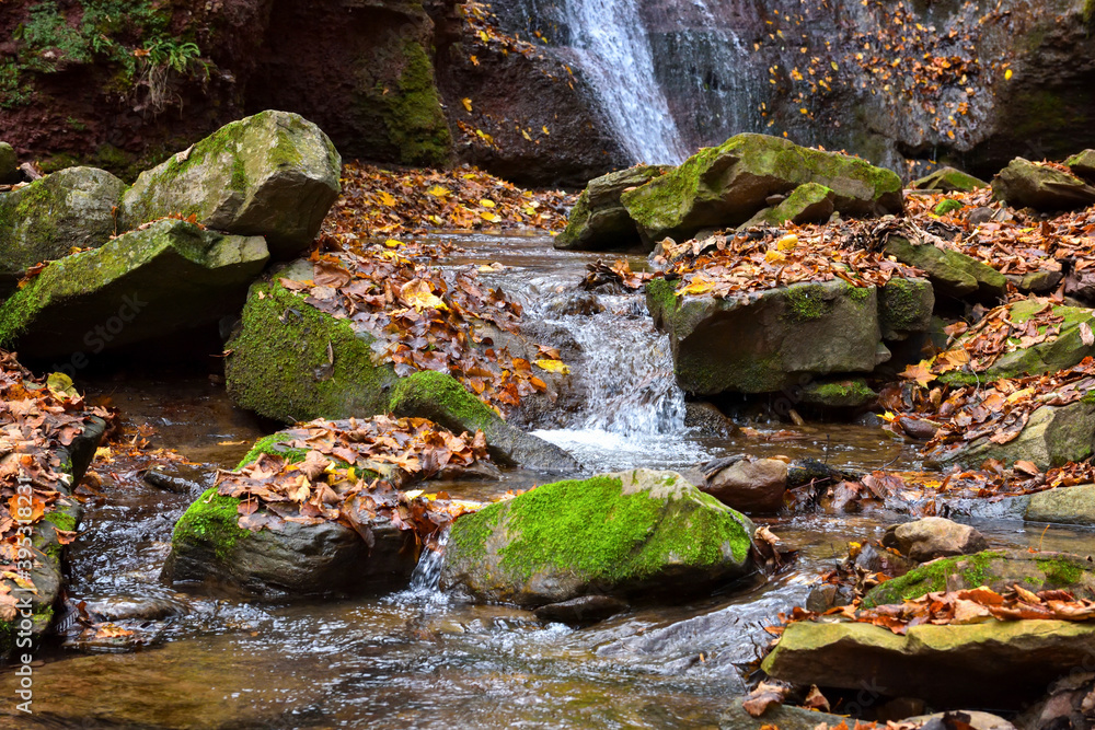Beautiful landscape with stream in autumn forest Beautiful landscape with stream in autumn forest