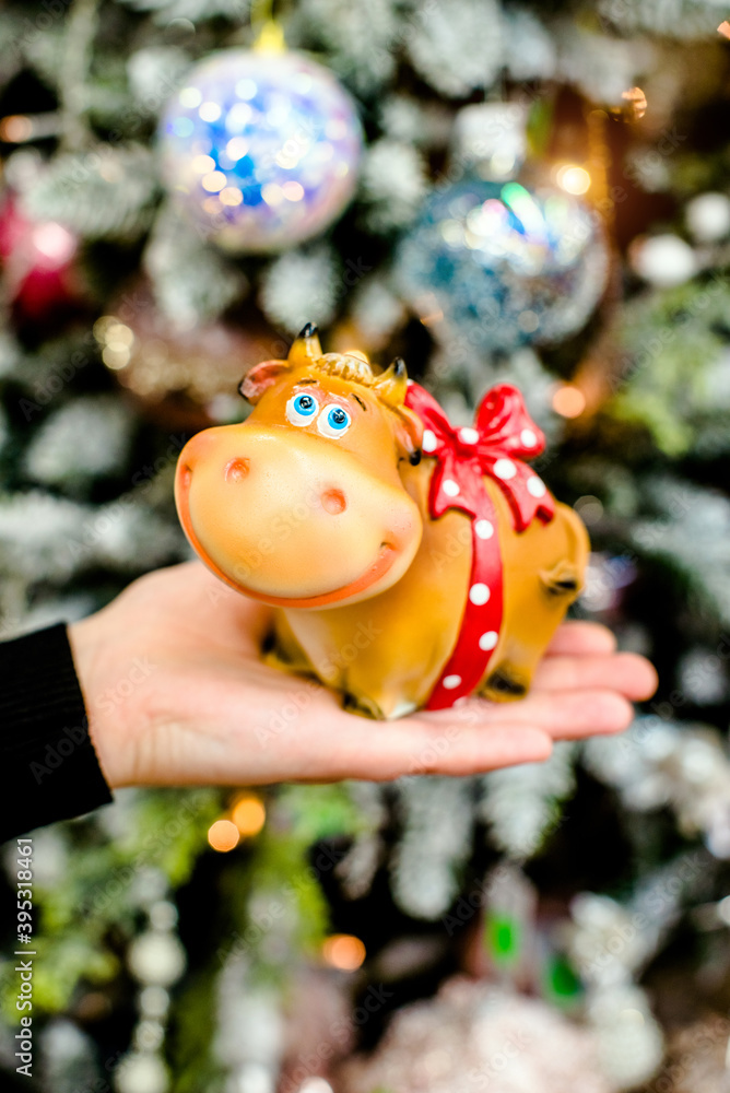 Symbol 2021-bull stands on the background of Christmas decorations
