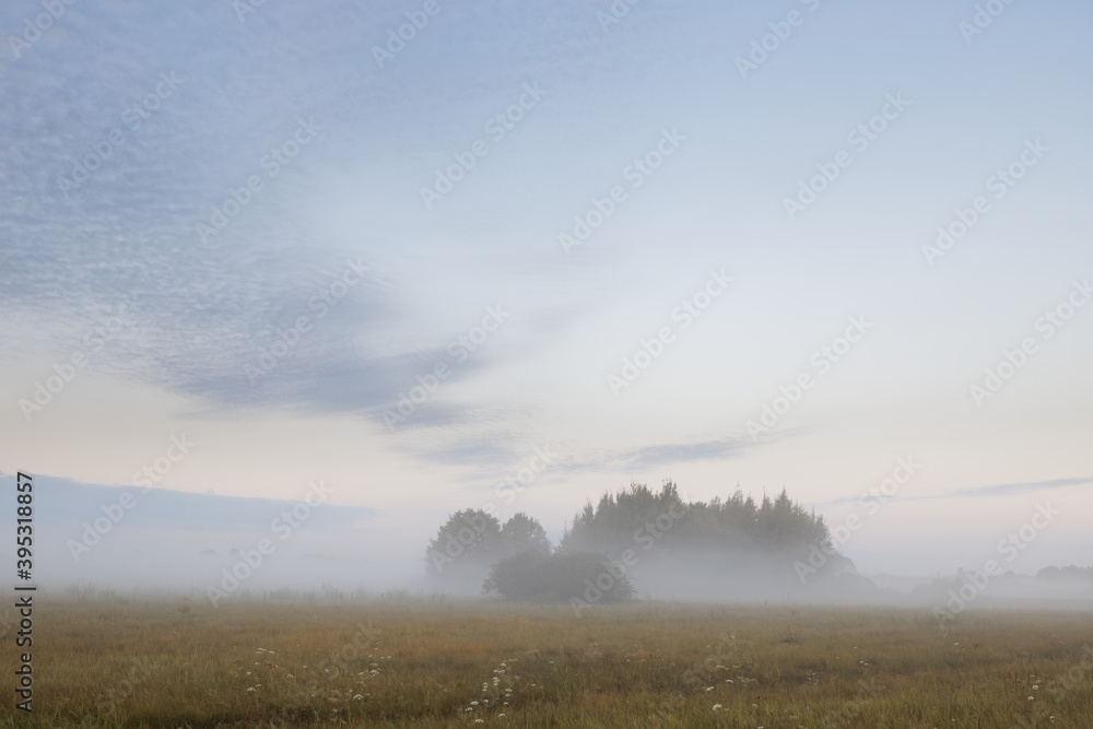 low fog in the field at dawn low fog in the field at dawn