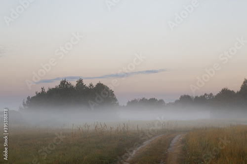 low fog in the field at dawn