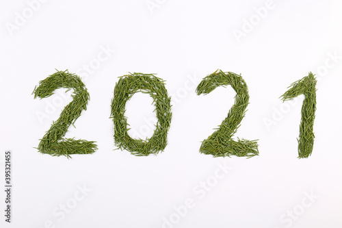 Heaps of green conifer needles laid in a shape of 2021 digit isolated on white. Symbolic new years background with copy space for text. Top view, flat lay, close up.