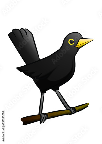 Blackbird cartoon vector
Layered for easy editing