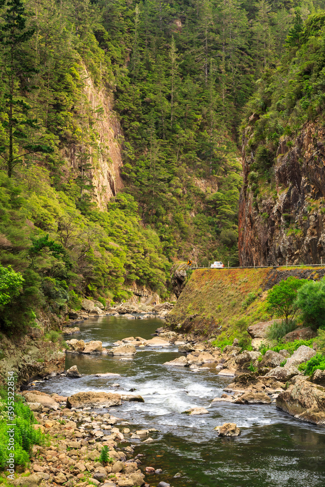 The Karangahake Gorge, New Zealand.  State Highway 2 runs alongside the Ohinemuri River at the bottom of a deep valley