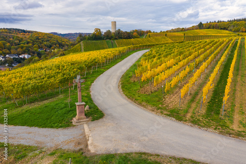 View from above of autumn-colored vineyards to the tower of the Scharfenstein castle ruins near Kiedrich / Germany in the Rheingau