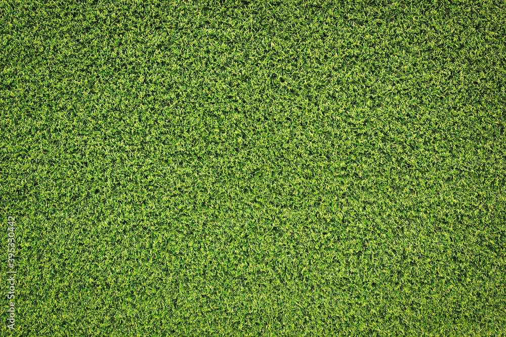 Obraz premium green grass background