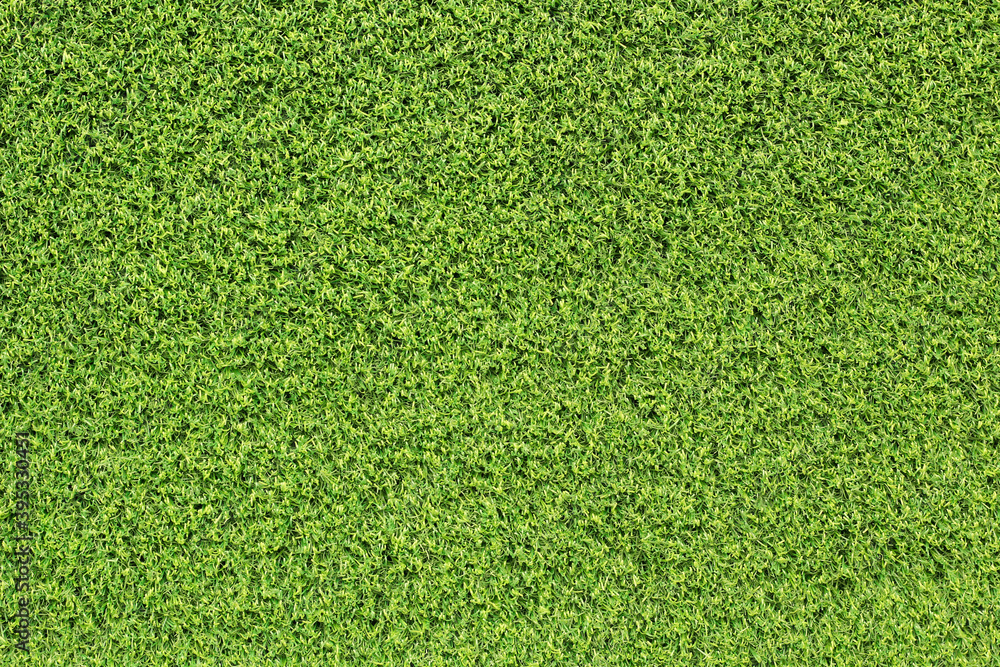 Fototapeta premium green grass background