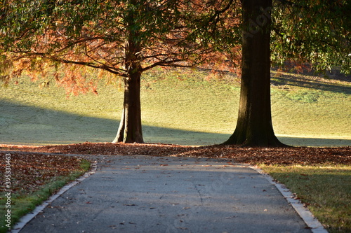 Autumn landscape in the park