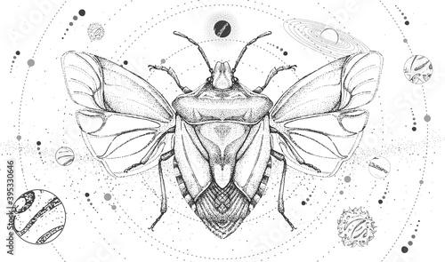 Modern magic witchcraft card with solar system and shield beetle. Hand drawing occult vector illustration